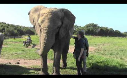 Elephant Sanctuary, Hartbeespoort