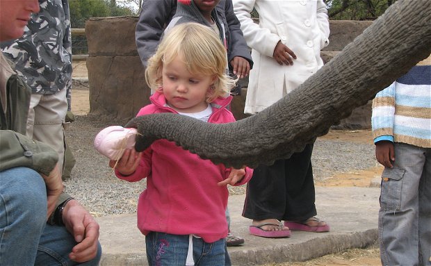 Adventures with Elephants, ECASA, Elephant Care Association of South Africa