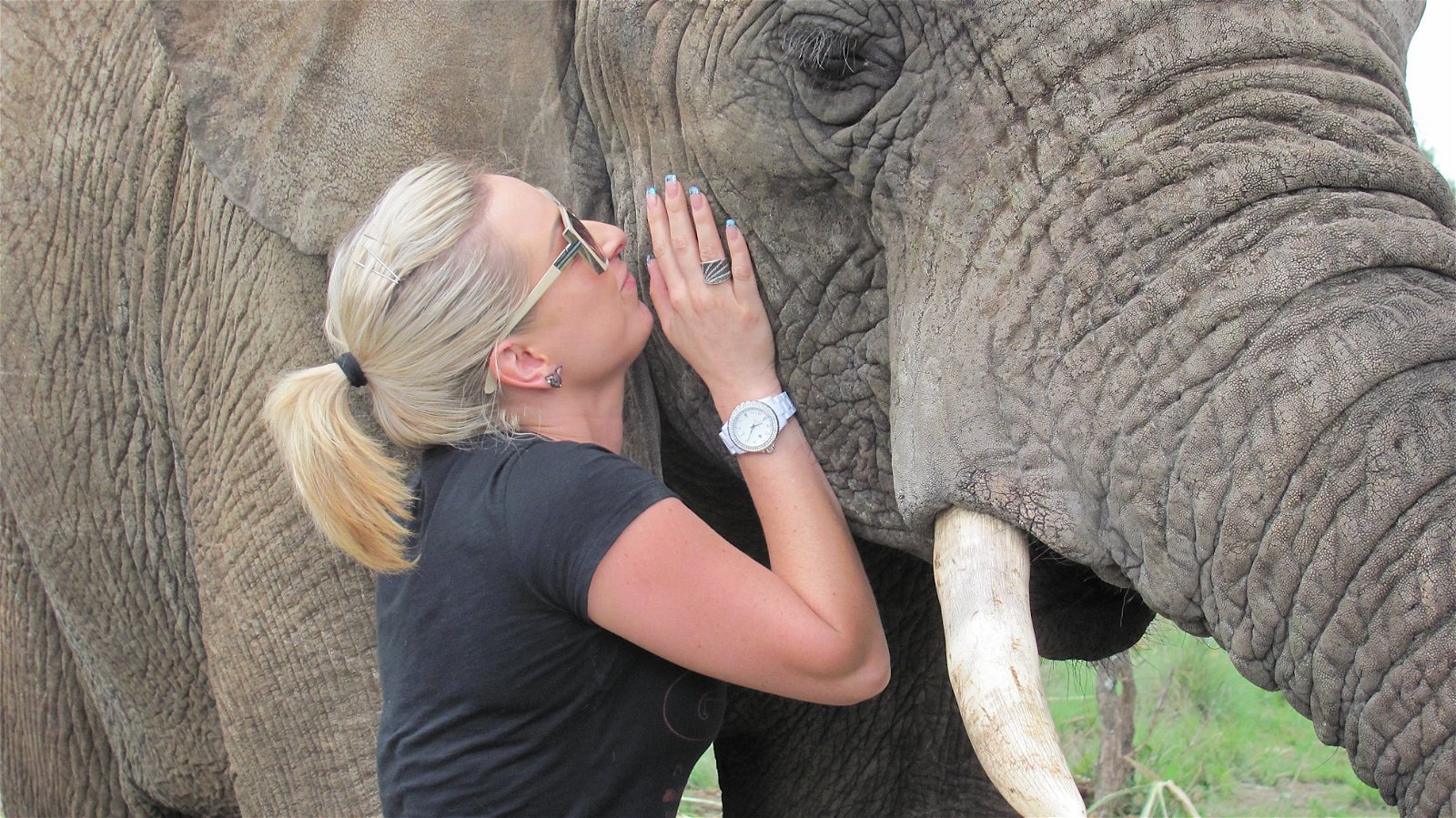 Adventures with Elephants, ECASA, Elephant Care Association of South Africa