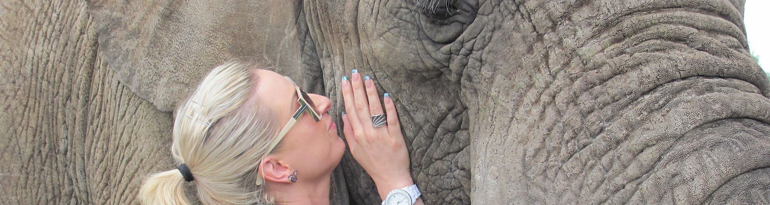 Adventures with Elephants, ECASA, Elephant Care Association of South Africa
