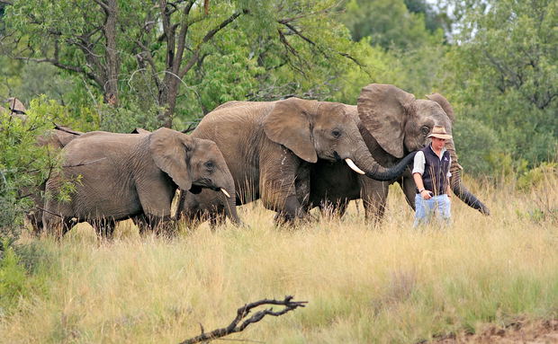 Adventures with Elephants, ECASA, Elephant Care Association of South Africa Adventures with Elephants, ECASA, Elephant Care Association of South Africa