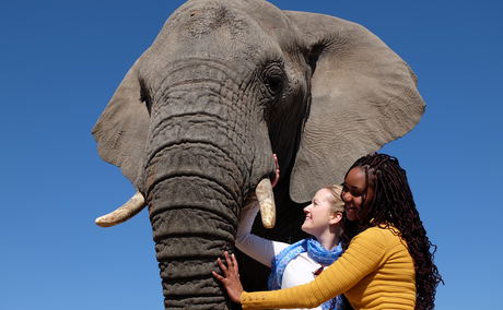 Adventures with Elephants, ECASA, Elephant Care Association of South Africa