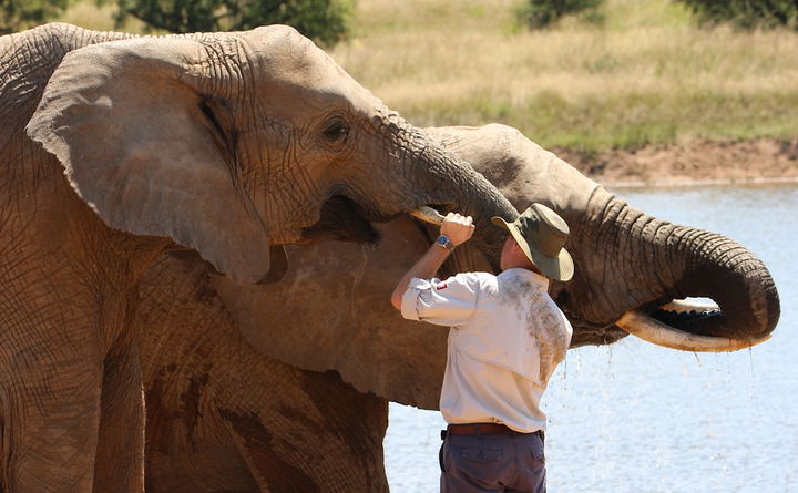 Adventures with Elephants, ECASA, Elephant Care Association of South Africa