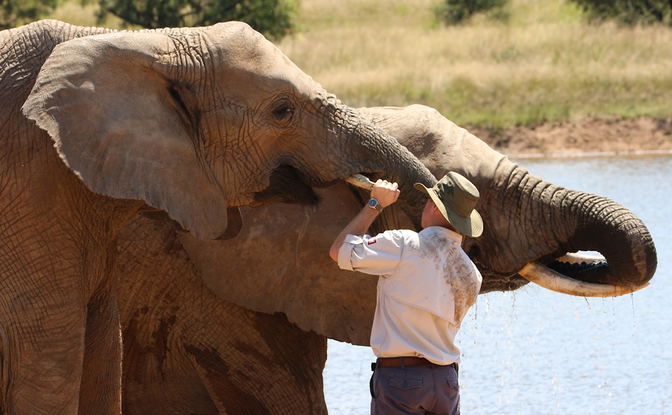 Adventures with Elephants, ECASA, Elephant Care Association of South Africa