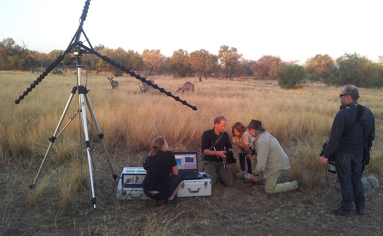 Adventures with Elephants, ECASA, Elephant Care Association of South Africa