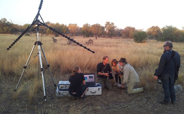 Adventures with Elephants, ECASA, Elephant Care Association of South Africa