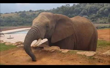 African Hills Safari Lodge & Spa, Magalisberg