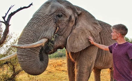 Glen Afric Country Lodge, Broederstroom