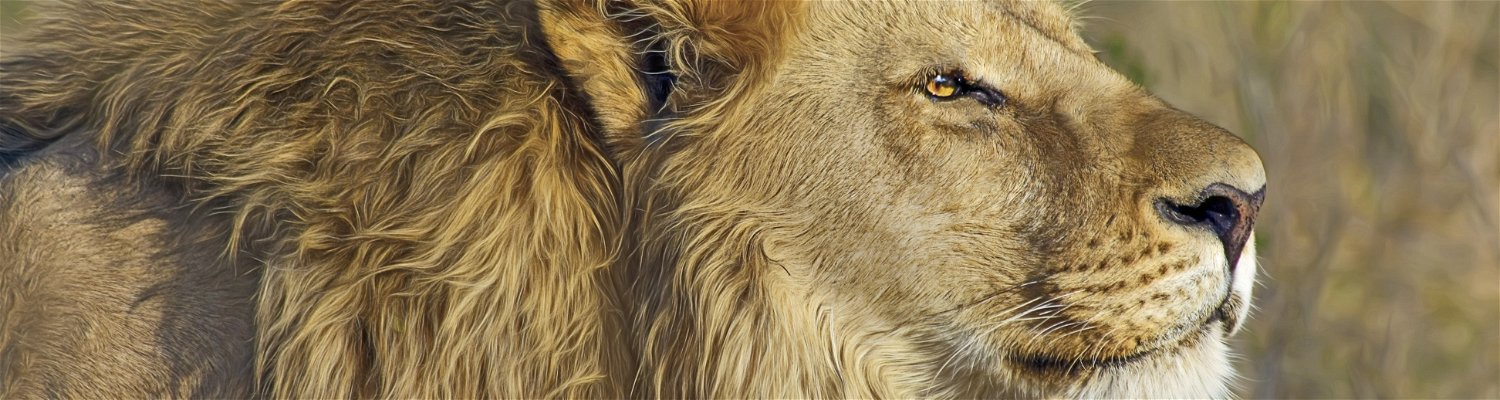 "Wildlife and nature at your door step"