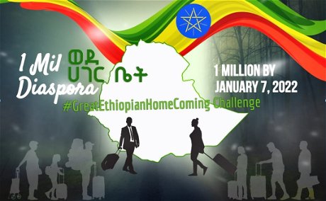 ethiopian diaspora coming home to ethiopia