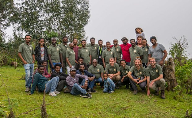 team simien eco tours ethiopia