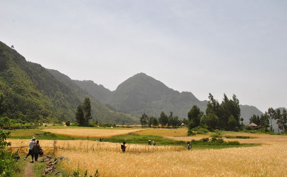 Community Hike through the Wof Washa Forest