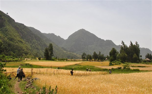 Community Hike through the Wof Washa Forest