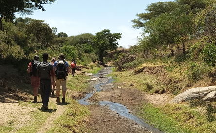 Trekking Tour through the Villages of South Ethiopia's Omo Valley