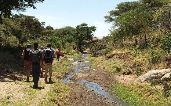 Trekking Tour through the Villages of South Ethiopia's Omo Valley