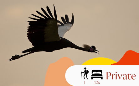 Bird Watching Ethiopia: Discover the Endemics in their Refuges