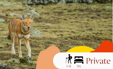 Insights into Southern Ethiopia