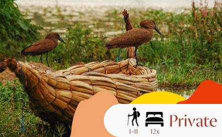 Go Green and Off the Beaten Track