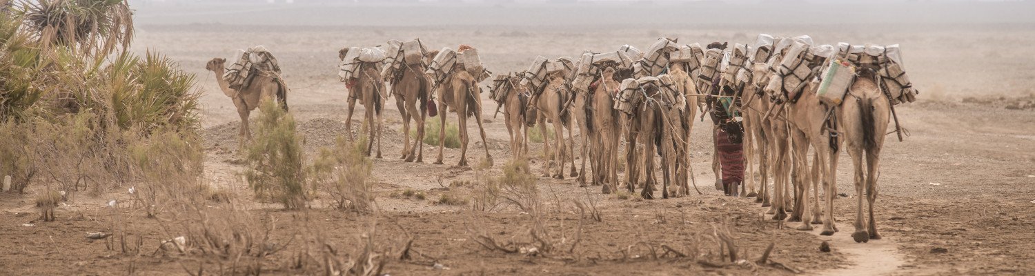 tailor made tours and vacations ethiopia