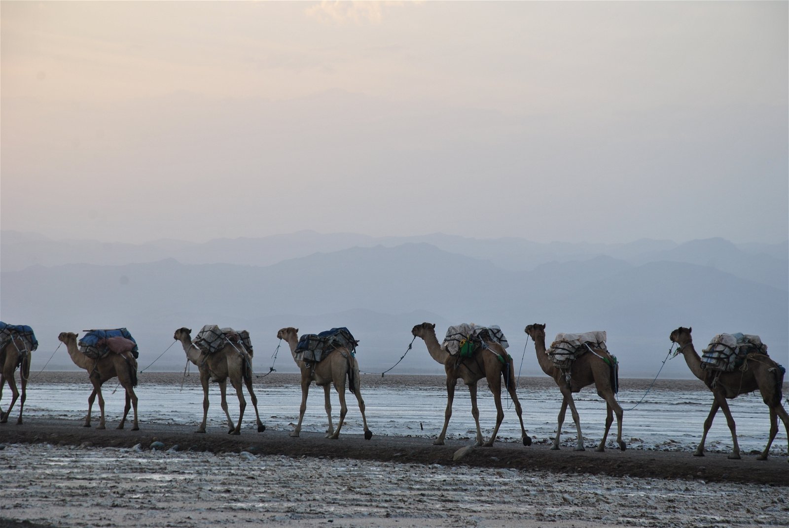 Through the Afar Desert into the Heart of the Danakil