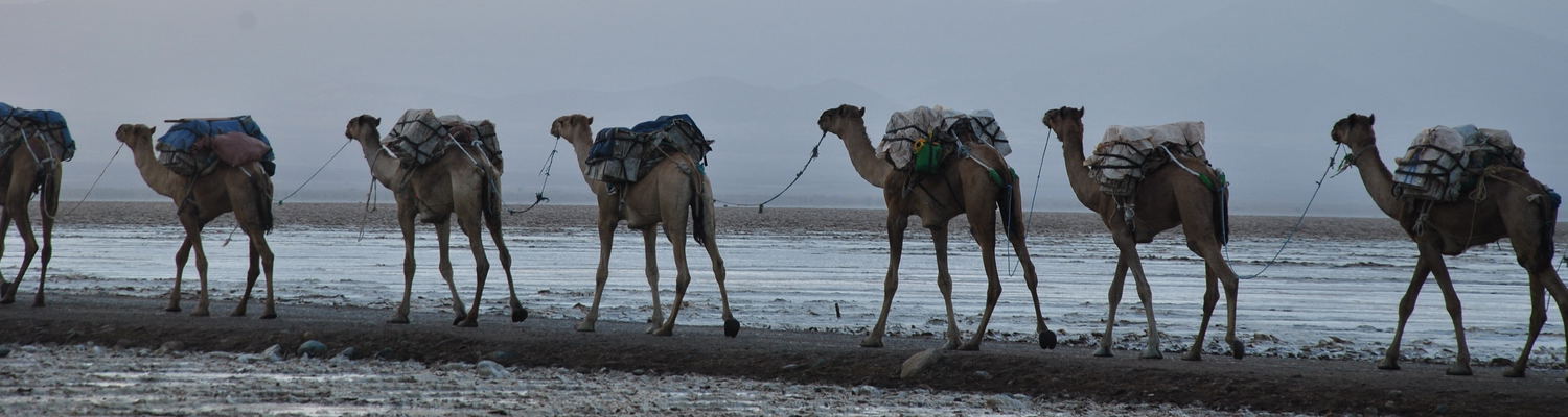 Through the Afar Desert into the Heart of the Danakil