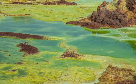 danakil depression dallol ethiopia simien eco tours