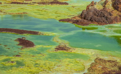 danakil depression dallol ethiopia simien eco tours danakil depression dallol ethiopia simien eco tours