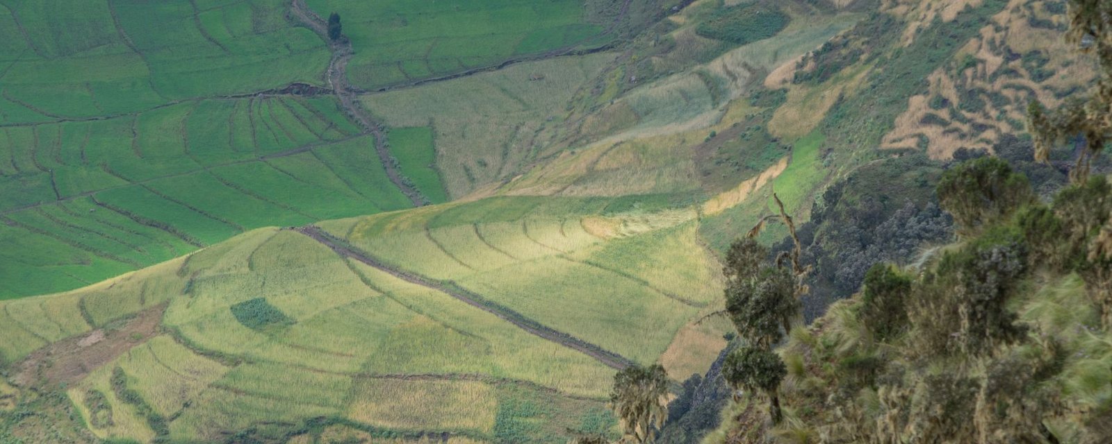 travel blog ethiopia simien eco tours