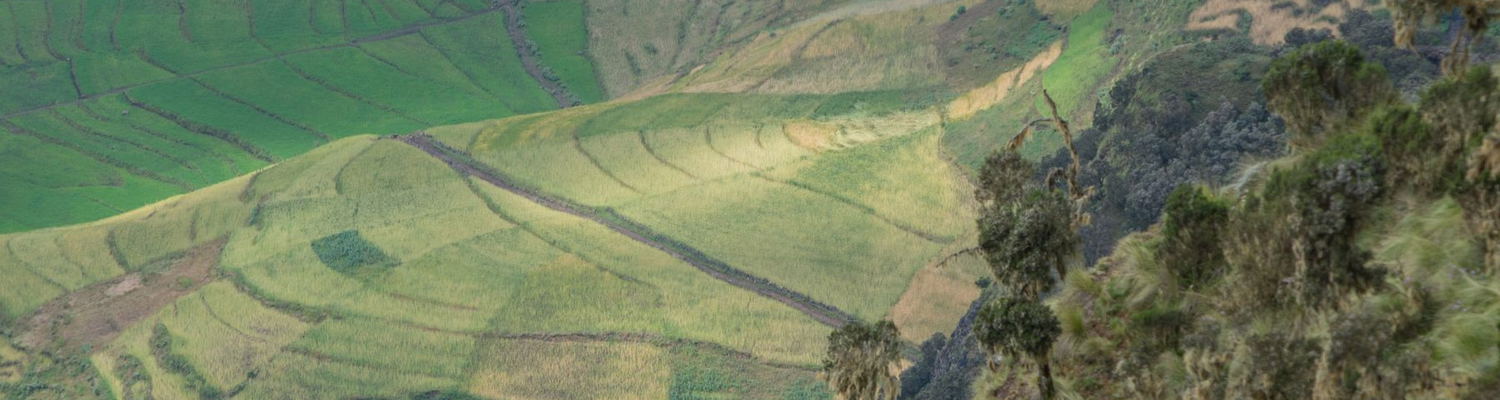 travel blog ethiopia simien eco tours