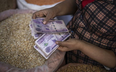 Ethiopia’s Recent Economic Reform Ethiopia’s Recent Economic Reform
