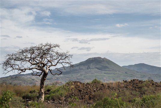 Awash National Park, Home of the endemic birds of Ethiopia