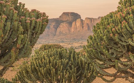 gheralta ethiopia simien eco tours