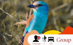 Birding Tour Ethiopia - Discover the Endemic Birds