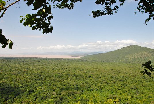 Tour in Nechisar National Park