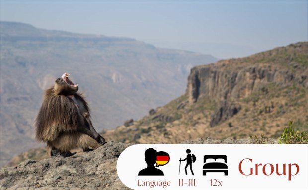 hiking lodging tour ethiopia simien eco tours