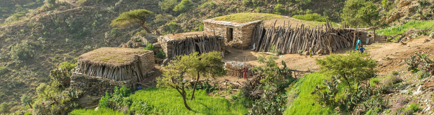 community trekking ethiopia tigray