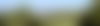 Gurage Landscape with Enset