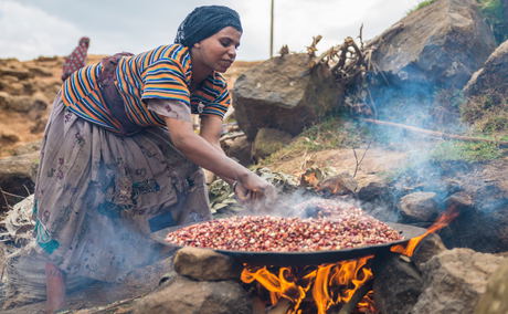 mulu eco lodge ethiopia simien eco tours mulu eco lodge ethiopia simien eco tours