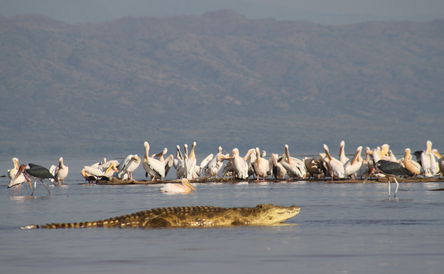 Short Southern Ethiopia Tour to Omo Valley 