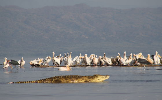 Short Southern Ethiopia Tour to Omo Valley
