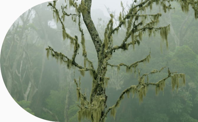 sustainable tours in ethiopia