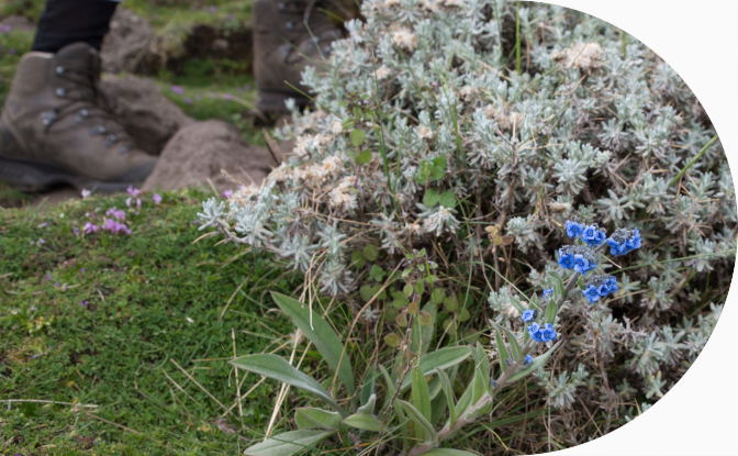 eco tours ethiopia green holidays