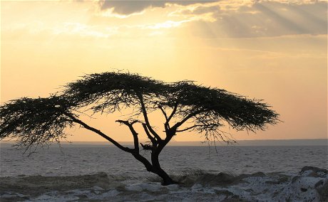 rift valley lakes ethiopia simien eco tours