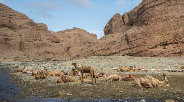 desert trekking danakil simien eco tours