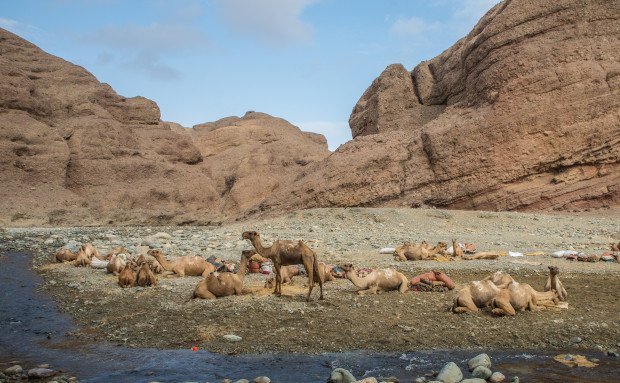 desert trekking danakil simien eco tours