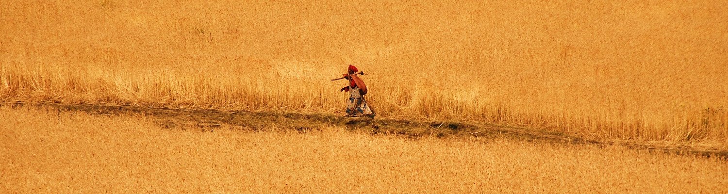 Trips to ethiopia