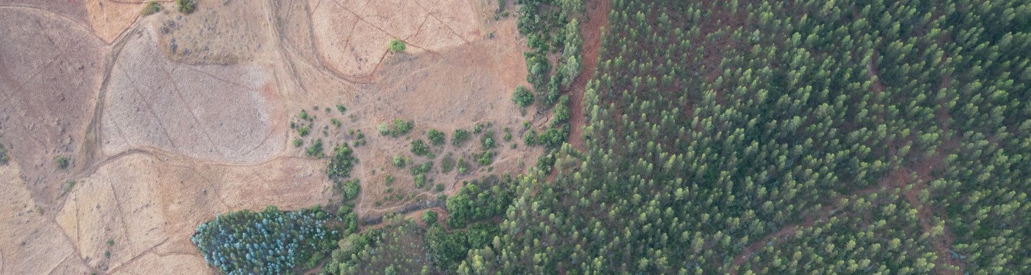 charity project tours ethiopia