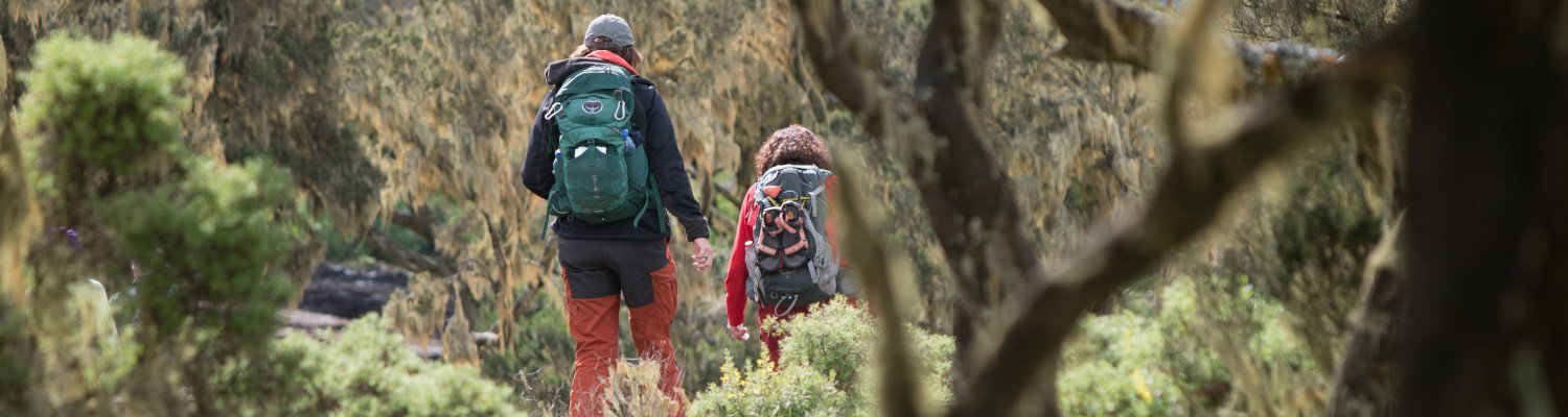 trekking hiking tours ethiopia