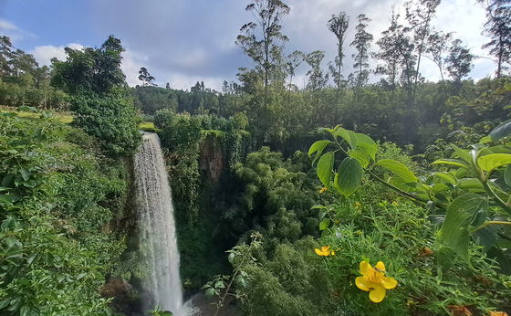 Community Hiking in Ethiopia's Green Gurage Zone