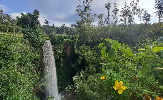 Yambeli Waterfall Gurage